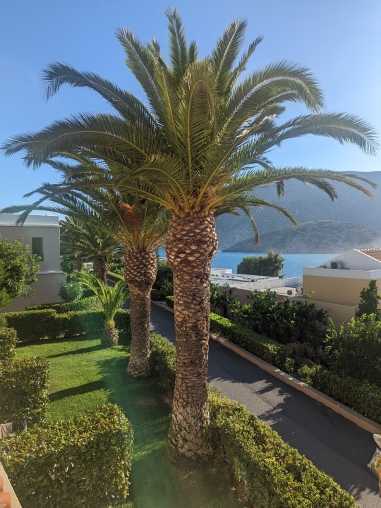 Ausblick Fodele Beach & Water Park Holiday Resort