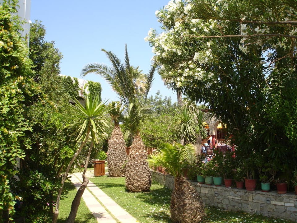 Gaia Garden  Gaia Garden Hotel