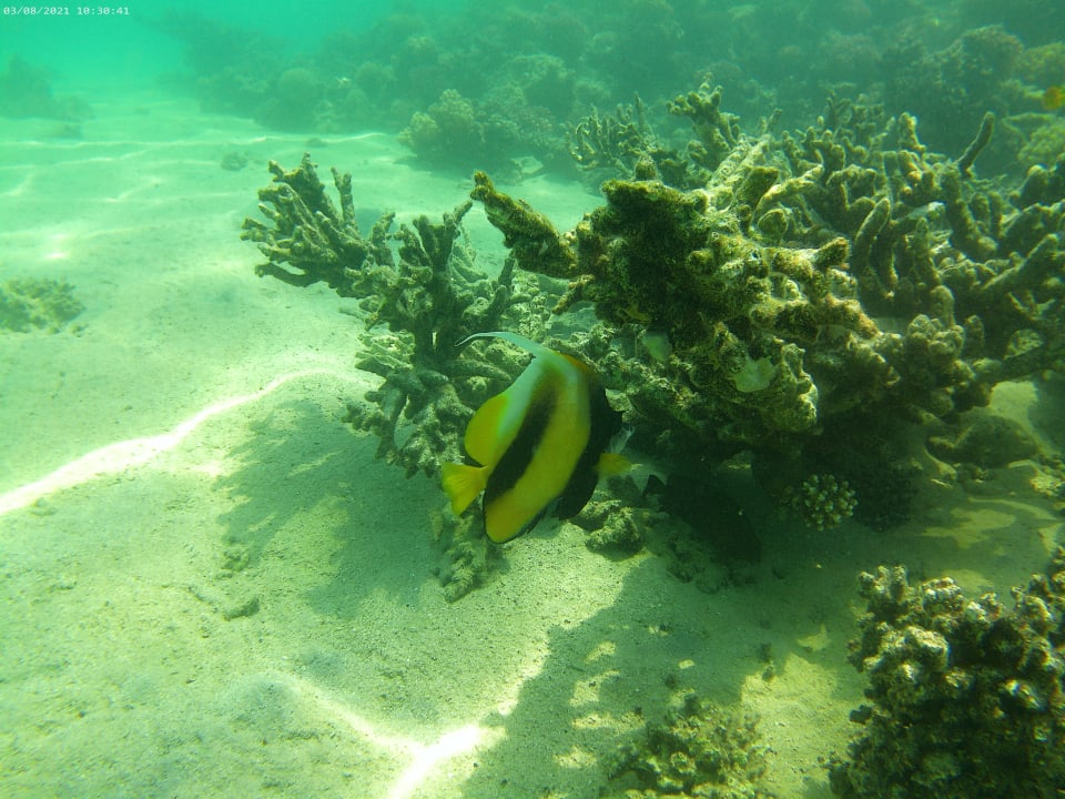 Sport & Freizeit Cleopatra Luxury Resort Makadi Bay