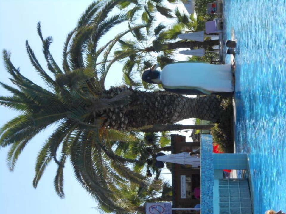 Hauptpool Botanik Hotel & Resort