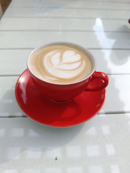 Gastro Monachus Family Resort Sorgun