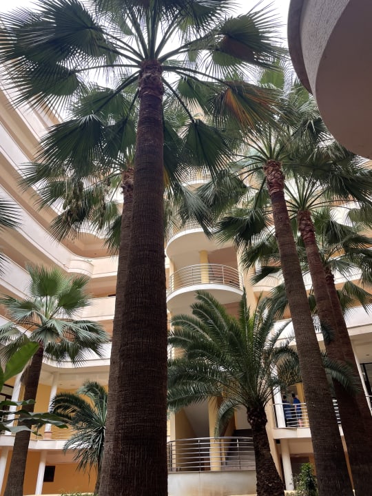 Lobby allsun App.-Hotel Orient Beach