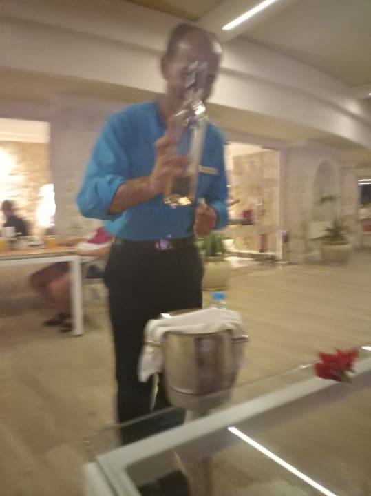 Gastro Pickalbatros Citadel Resort