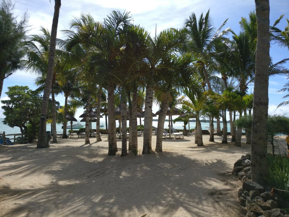 Strand Lagoon Attitude - Adults only