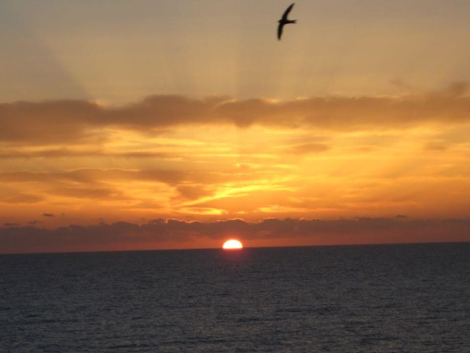 Sonnenaufgang Hotel Abou Nawas Boujaafar