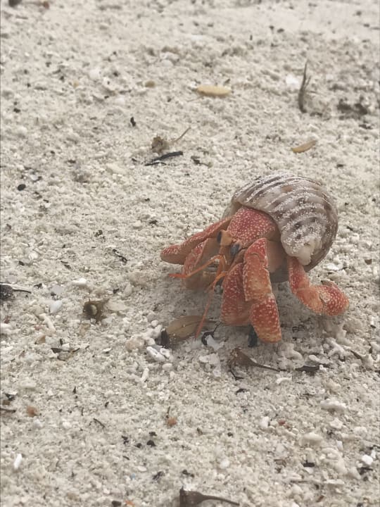 Strand Adaaran Select Hudhuran Fushi - Premium All Inclusive