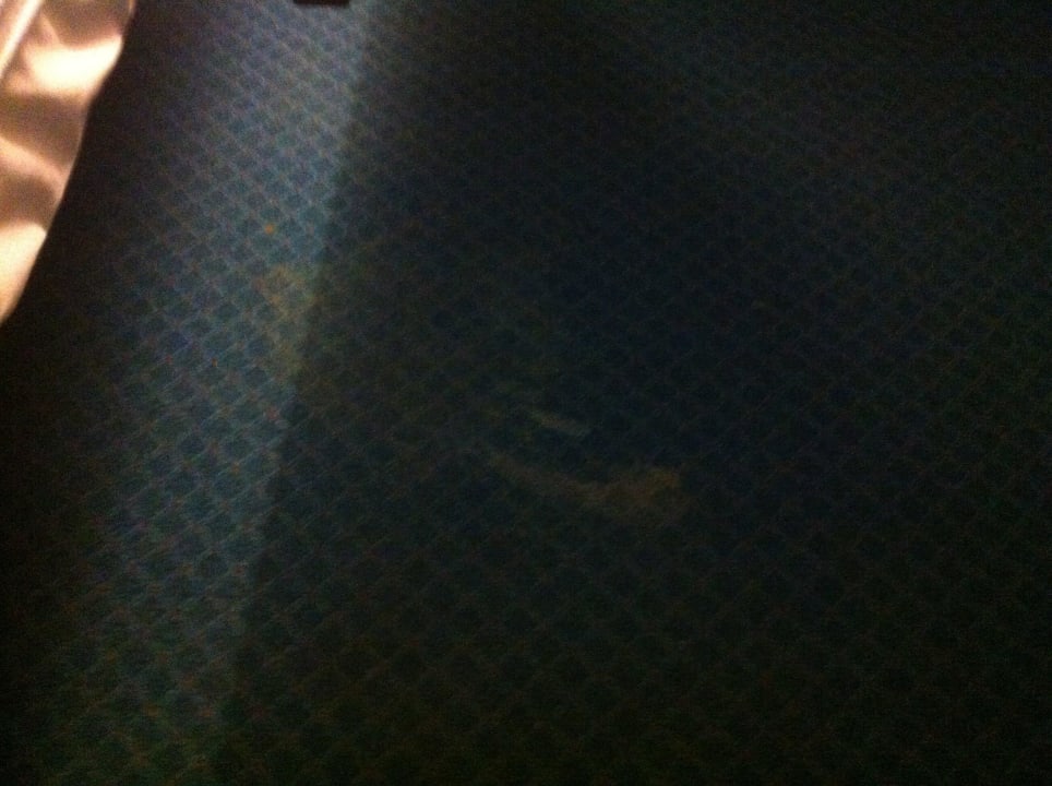 Teppichboden Hotel City Inn Magdeburg