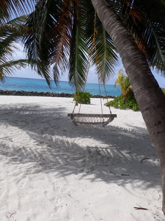 Strand Summer Island Maldives