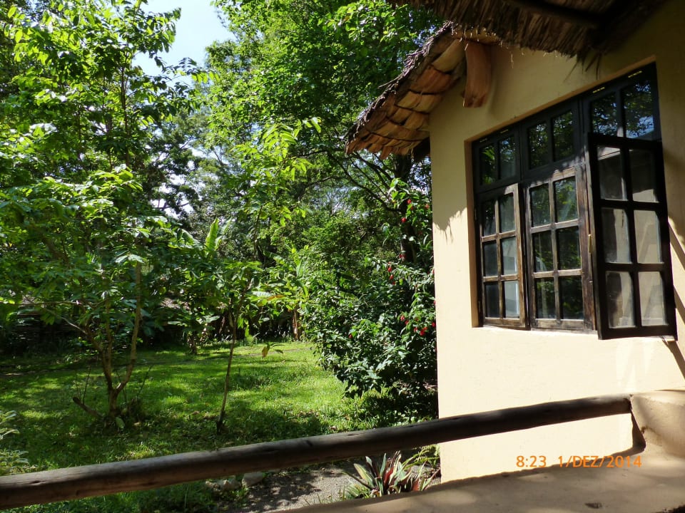 Aussicht von der Terrasse in den Garten Rivertrees Country Inn