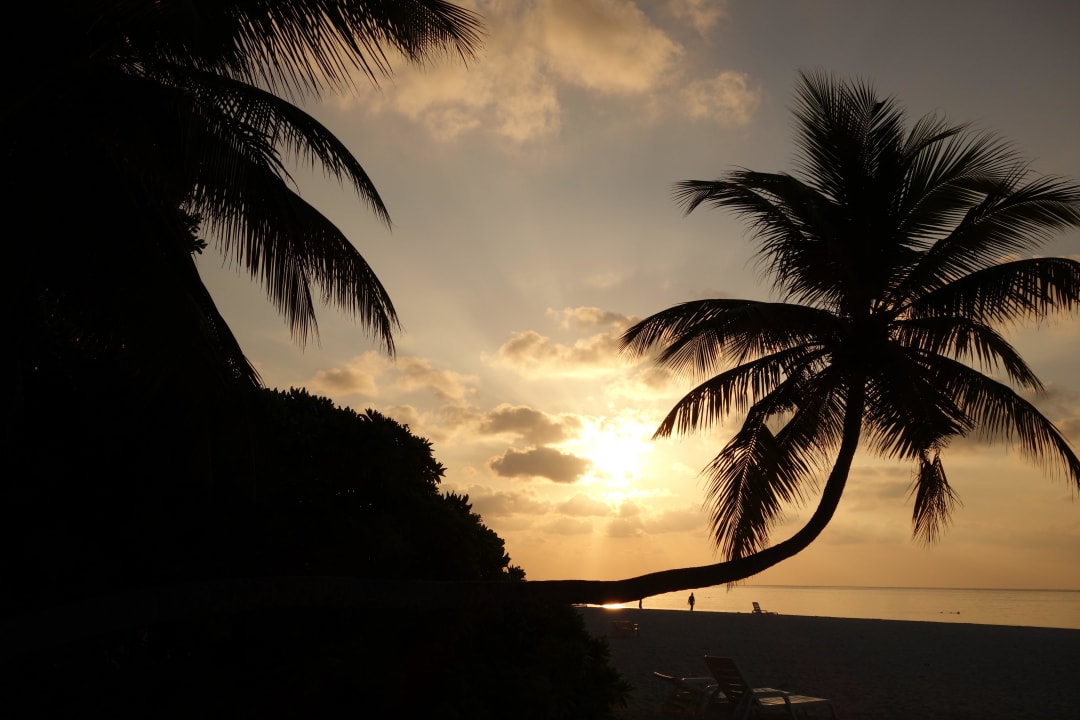 Sonnenuntergang mit liegender Palme Fihalhohi Maldives