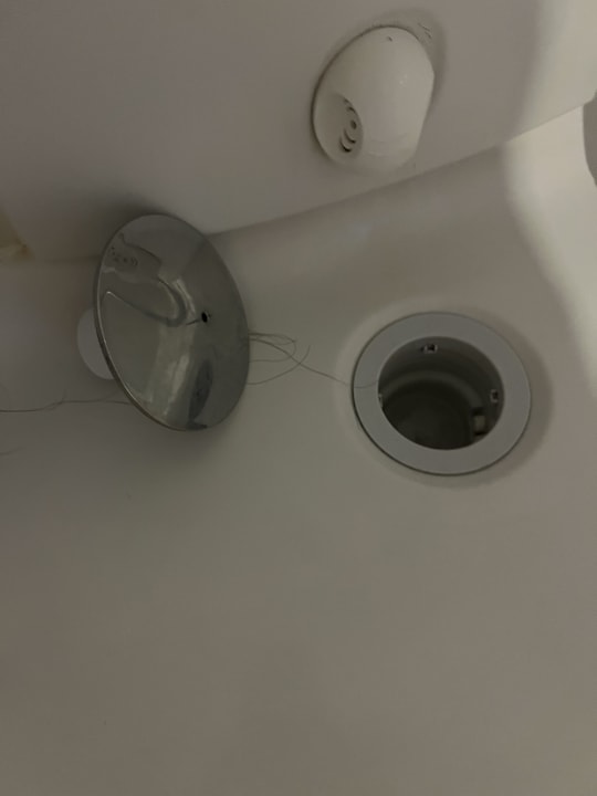 Zimmer Royal Seginus