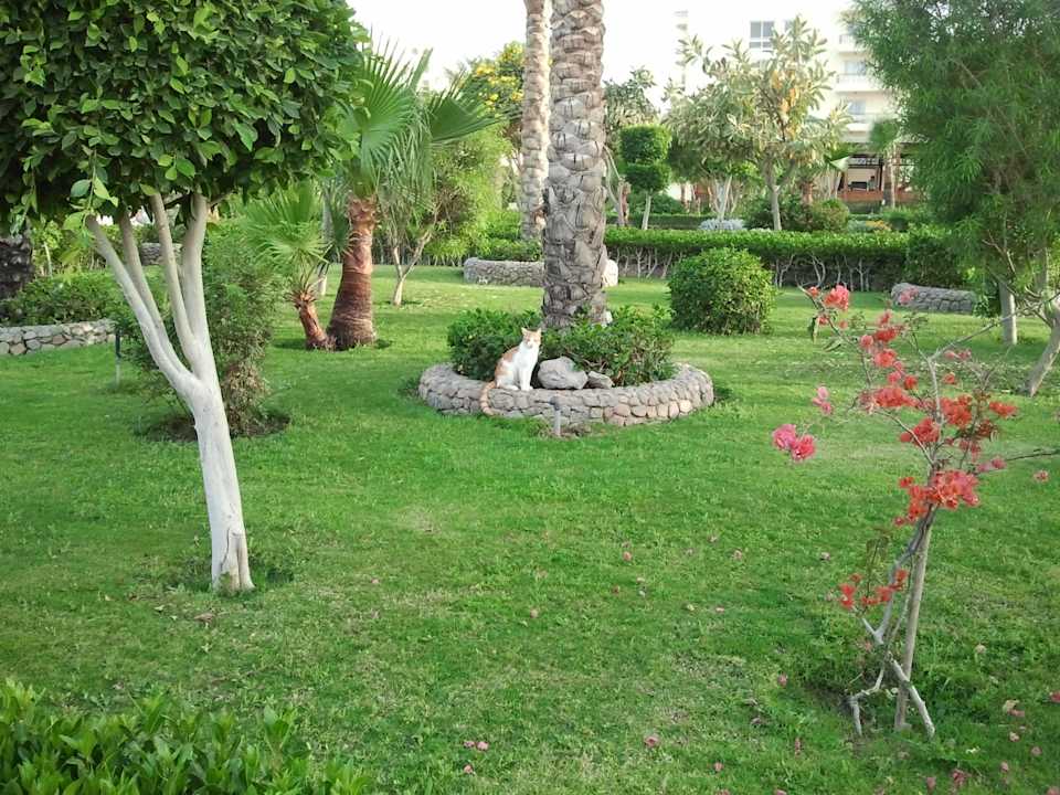 Флора и фауна Riviera Aqua Park Resort