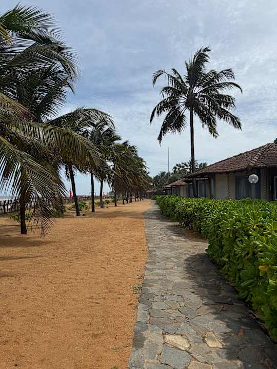 Gartenanlage Club Hotel Dolphin