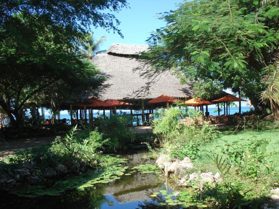 So idyllisch ist das Baobab Baobab Beach Resort & Spa