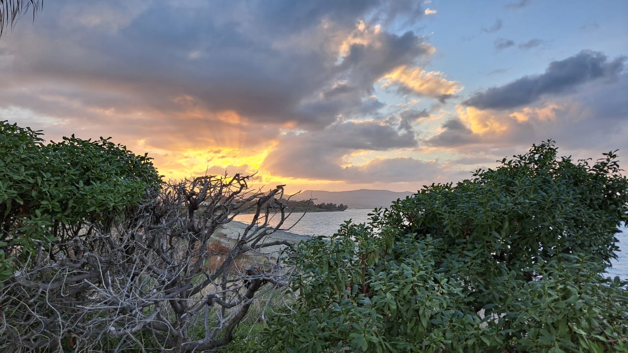 Ausblick Hotel Natura Beach