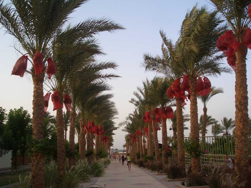 Auf den Weg zum Strand Riviera Aqua Park Resort