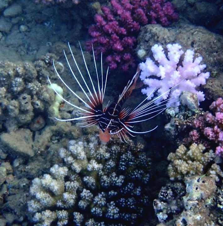 Strand Three Corners Equinox Beach Resort