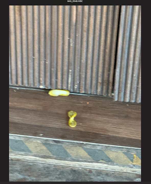 Gastro Jacaranda Luxury Resort