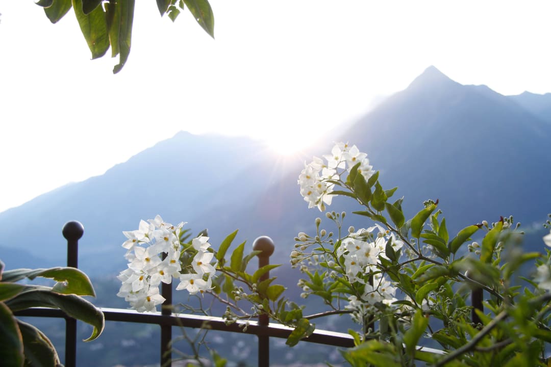 Ausblick Hotel Alpenrose Hotel Alpenrose