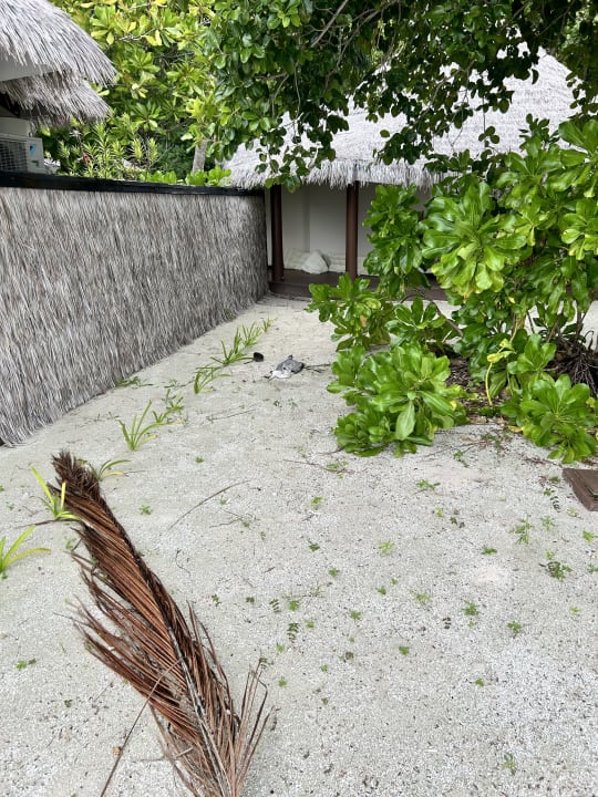 Zimmer Kihaa Maldives