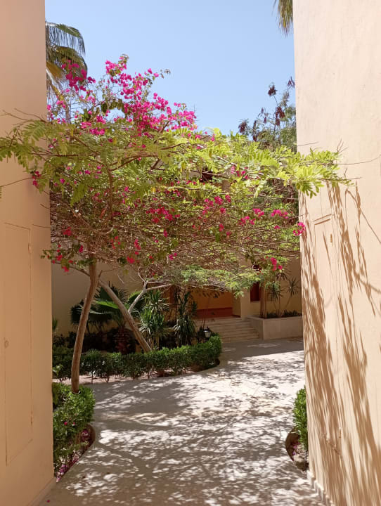 Sonstiges Steigenberger Coraya Beach - Adults only