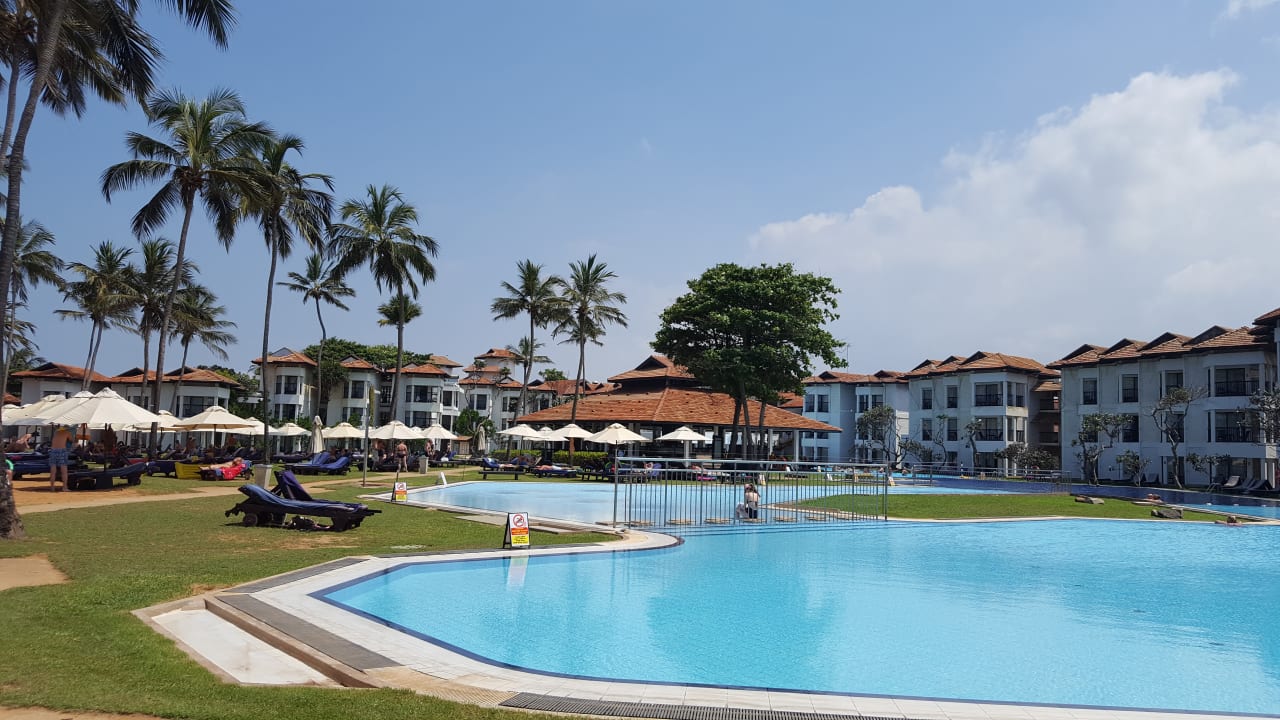 Pool Club Hotel Dolphin