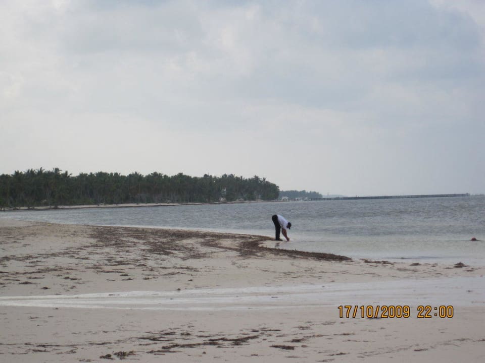 Traumstrand? Catalonia Punta Cana - All Inclusive