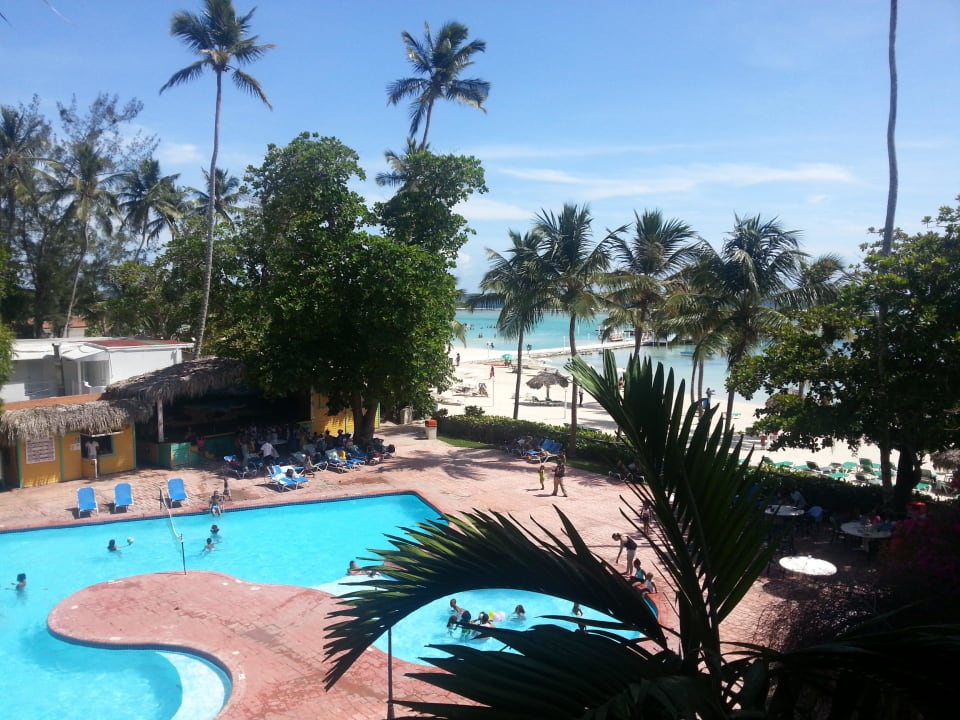 Pool whala!boca chica