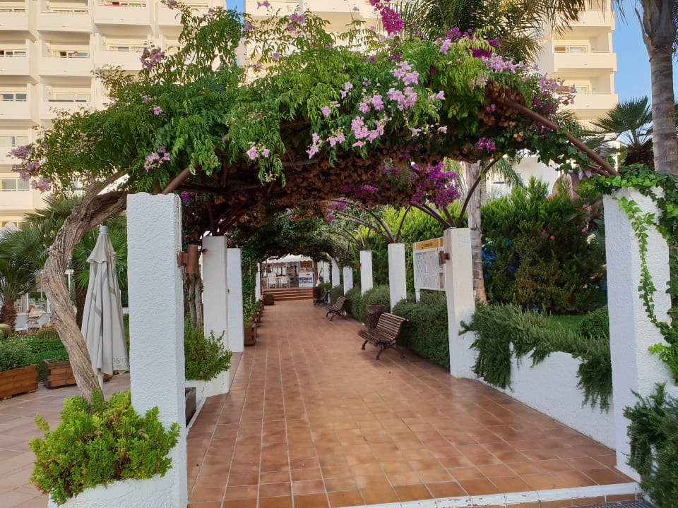 Gartenanlage Iberostar Waves Ciudad Blanca