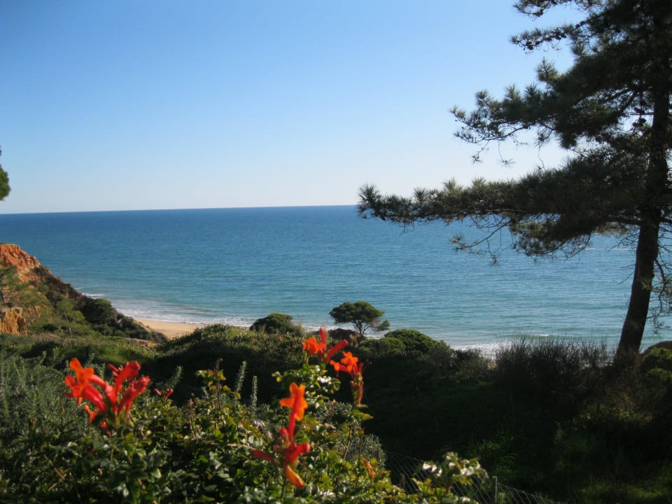 Ausblick vom Garten auf das Meer PortoBay Falésia