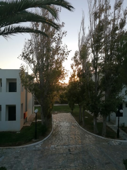 Gartenanlage Smy Kos Beach & Splash