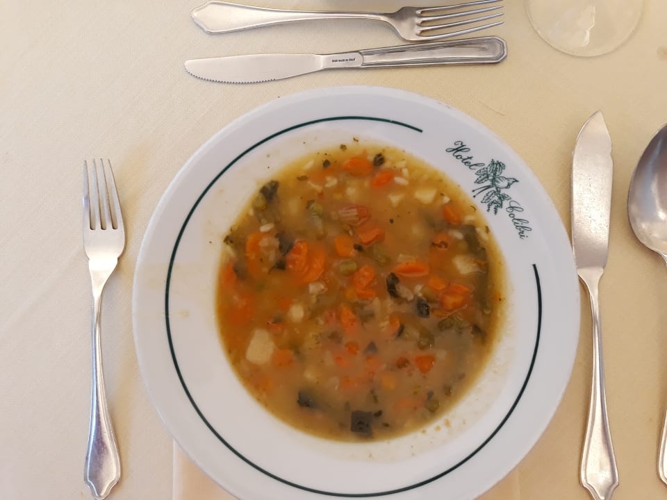Gastro Hotel Colibri
