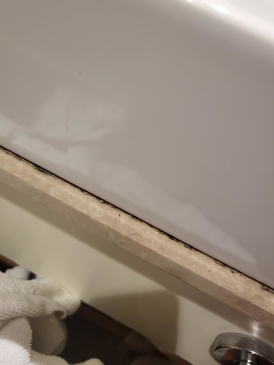 Zimmer Well Palace Side