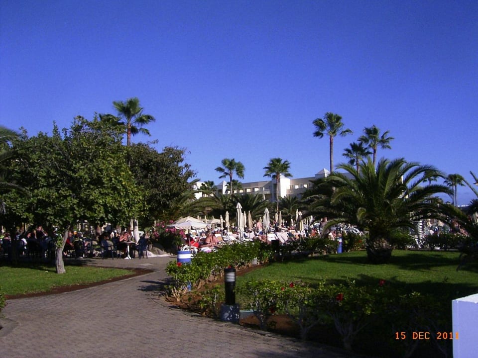 Blick  von der Poolbar auf die Anlage Hotel Riu Gran Canaria