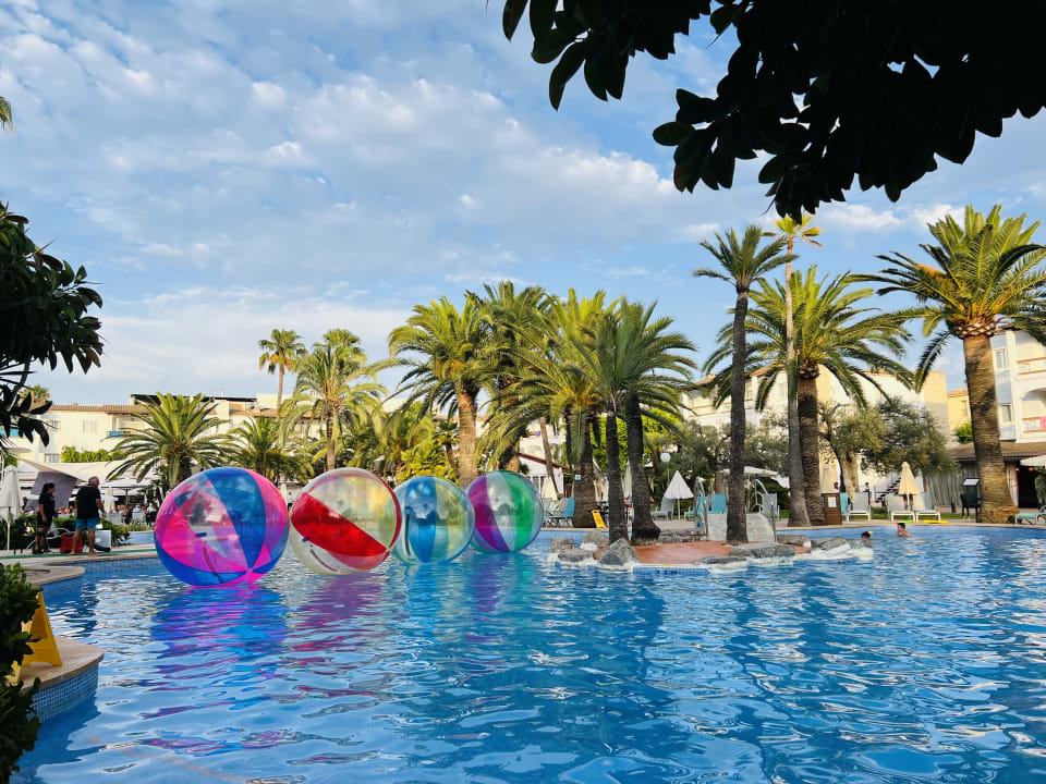 Pool Alcudia Garden Aparthotel