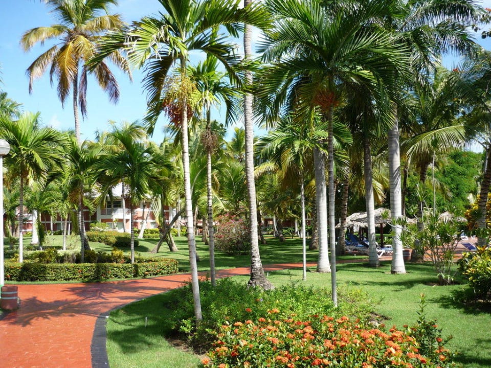 Hotelgarten Grand Palladium Select Bávaro Resort & Spa