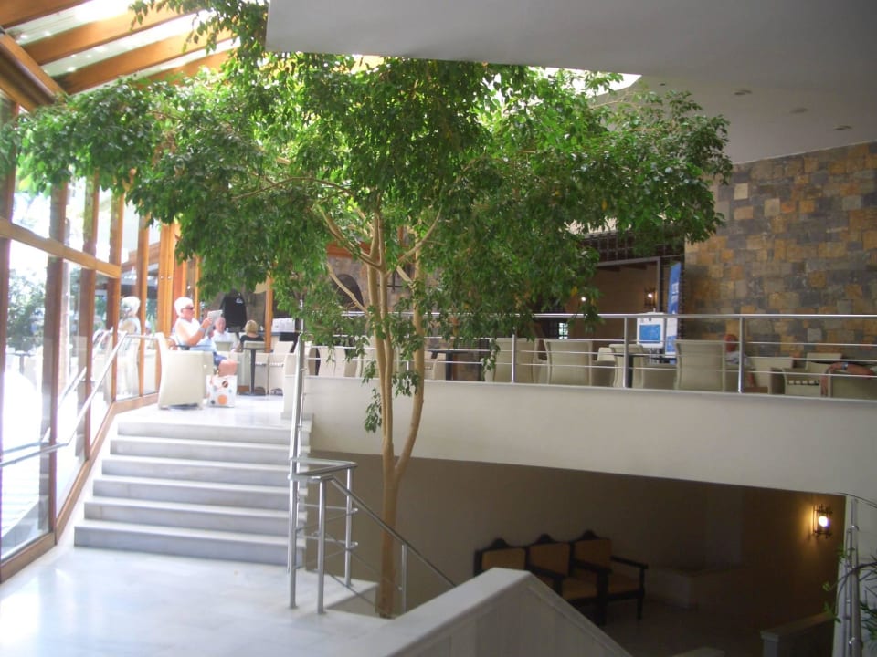Lobby Apollonia Beach Resort & Spa