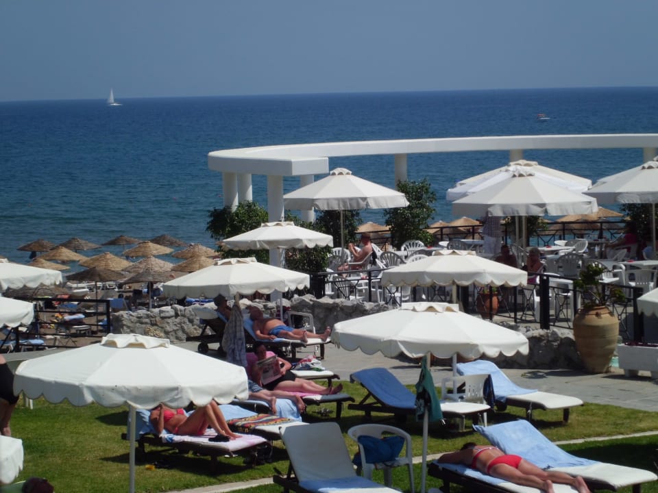 Liegebereich am Pool Hotel Calypso Beach