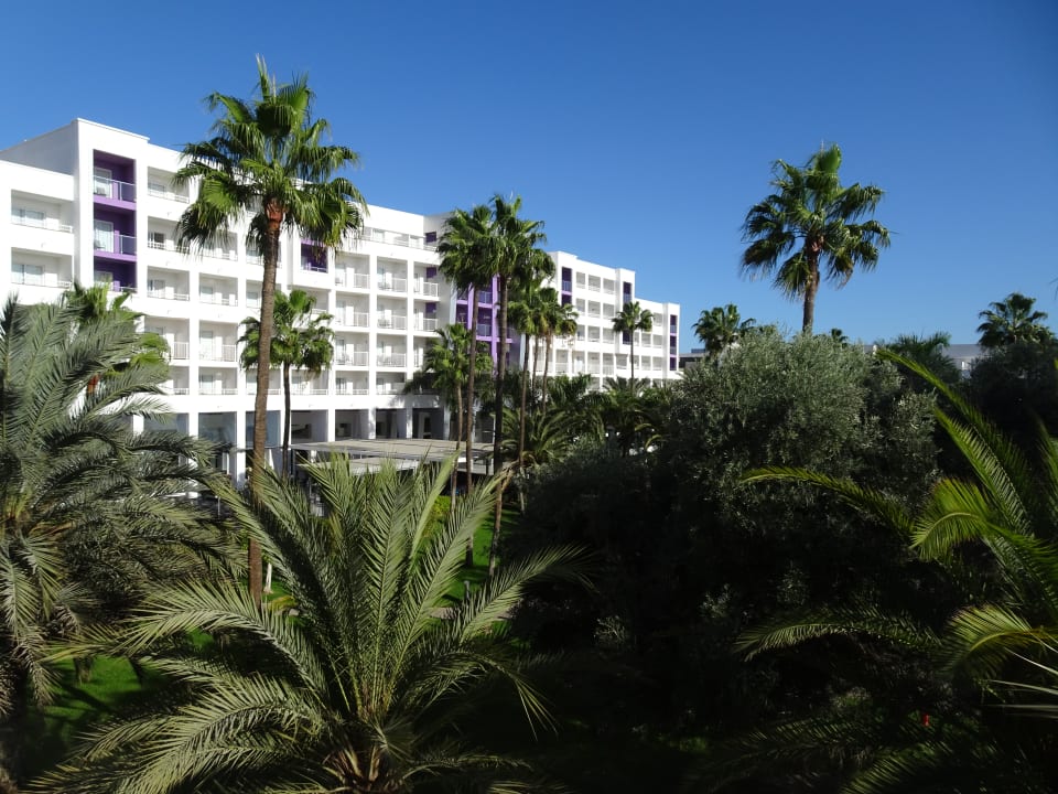 Gartenanlage Hotel Riu Gran Canaria
