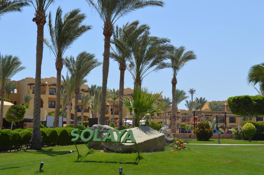 Ein bisschen grün :) Jaz Solaya