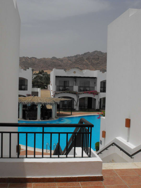 Blick auf den Pool JAZ Dahabeya