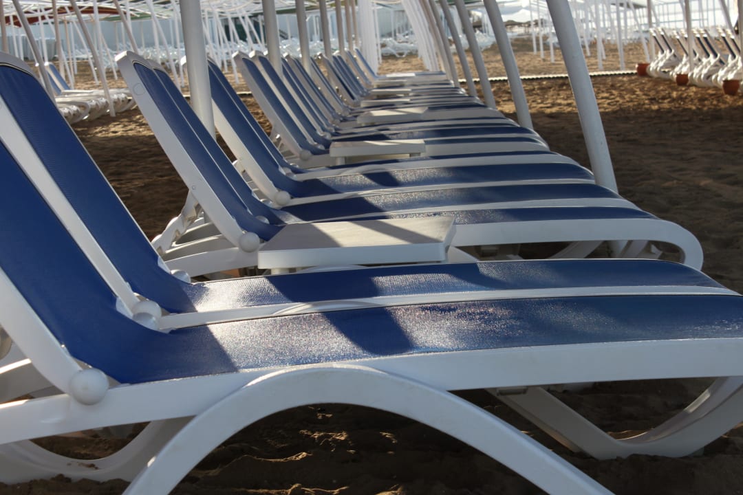 Alba Queen Alba Queen Hotel