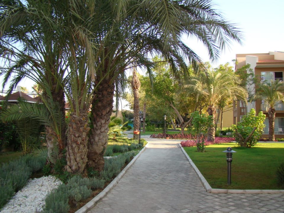 Сад Kamelya Selin Hotel