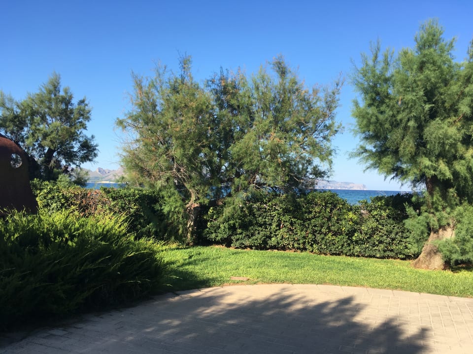 Gartenanlage PortBlue Club Pollentia Resort & Spa