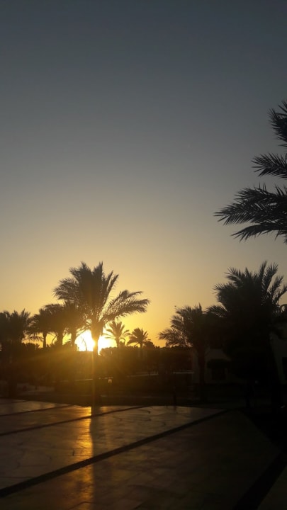 Ausblick SUNRISE Royal Makadi Resort