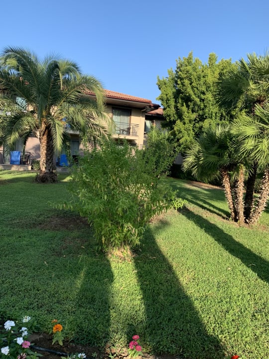 Außenansicht TUI BLUE Palm Garden
