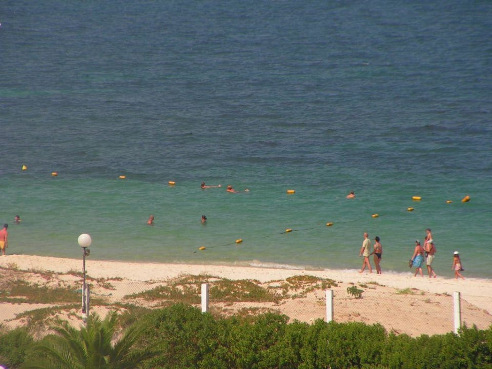 aussicht vom Zimmer Hotel El Mouradi Palm Marina