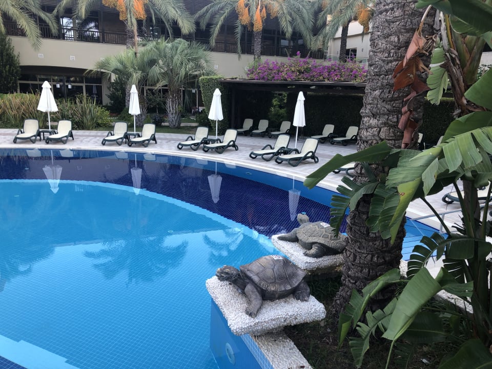 Pool Sunis Kumköy Beach Resort Hotel & Spa