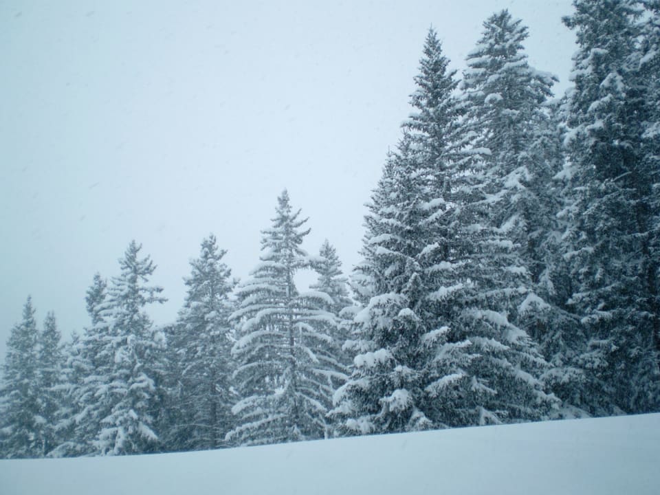 Zimmer Sunstar Hotel Arosa