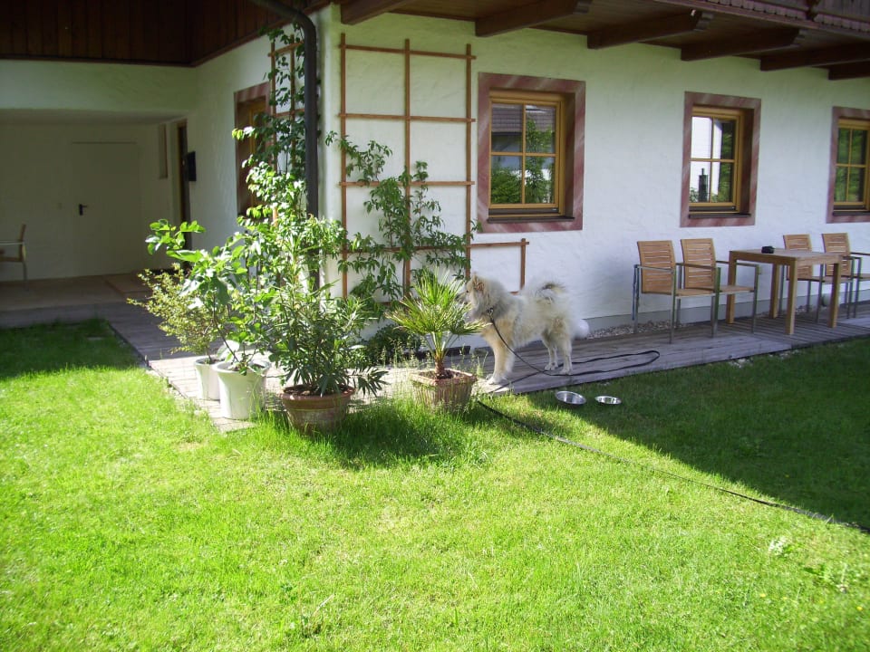Blick auf Terrasse Ferienhaus Felicitas